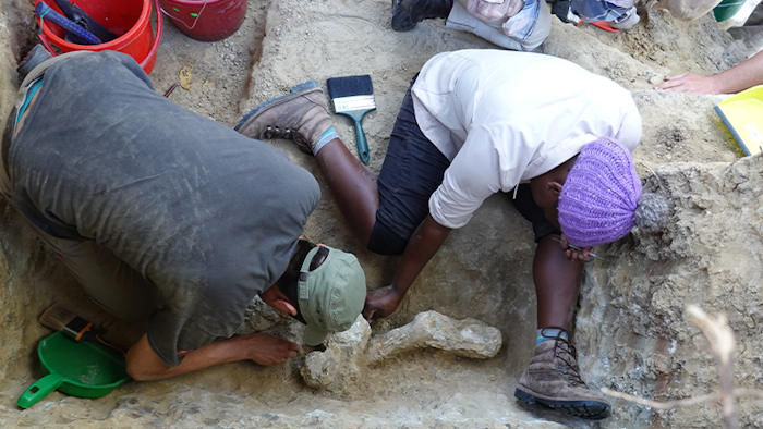 Digging for Our Origins in the Bone Beds of an African Park