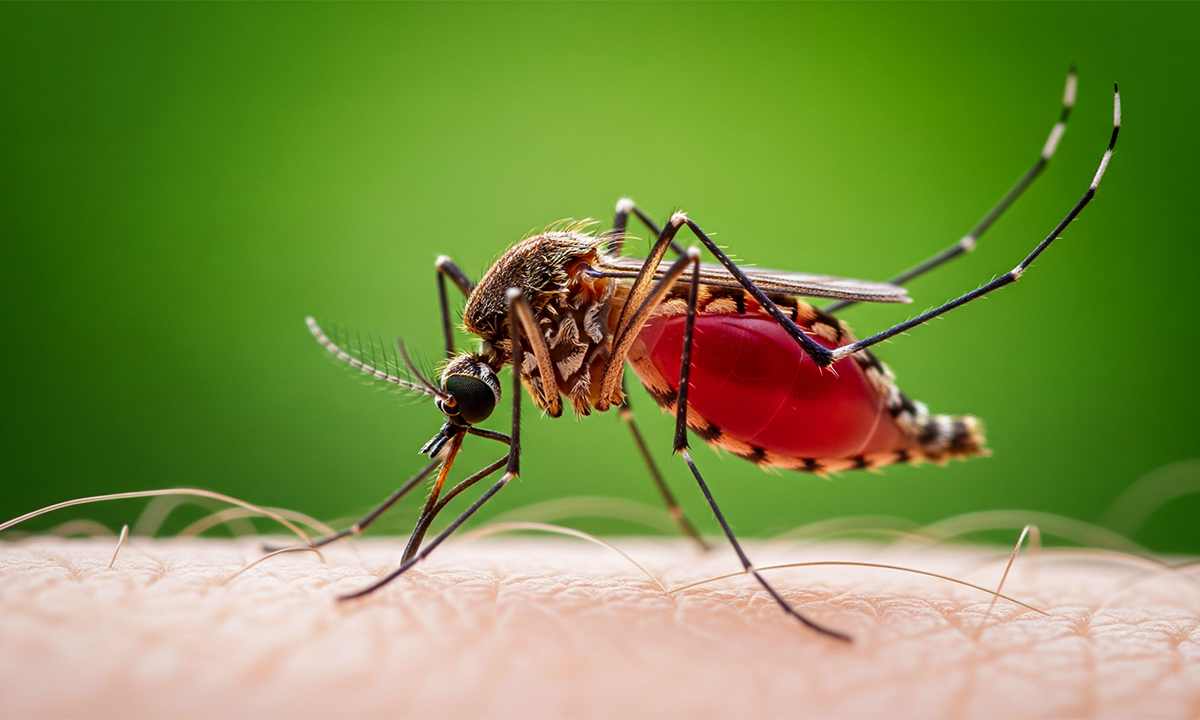 Article Sidebar Image