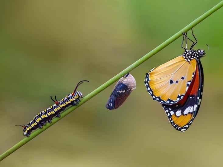 Article Recirculation Lead Image