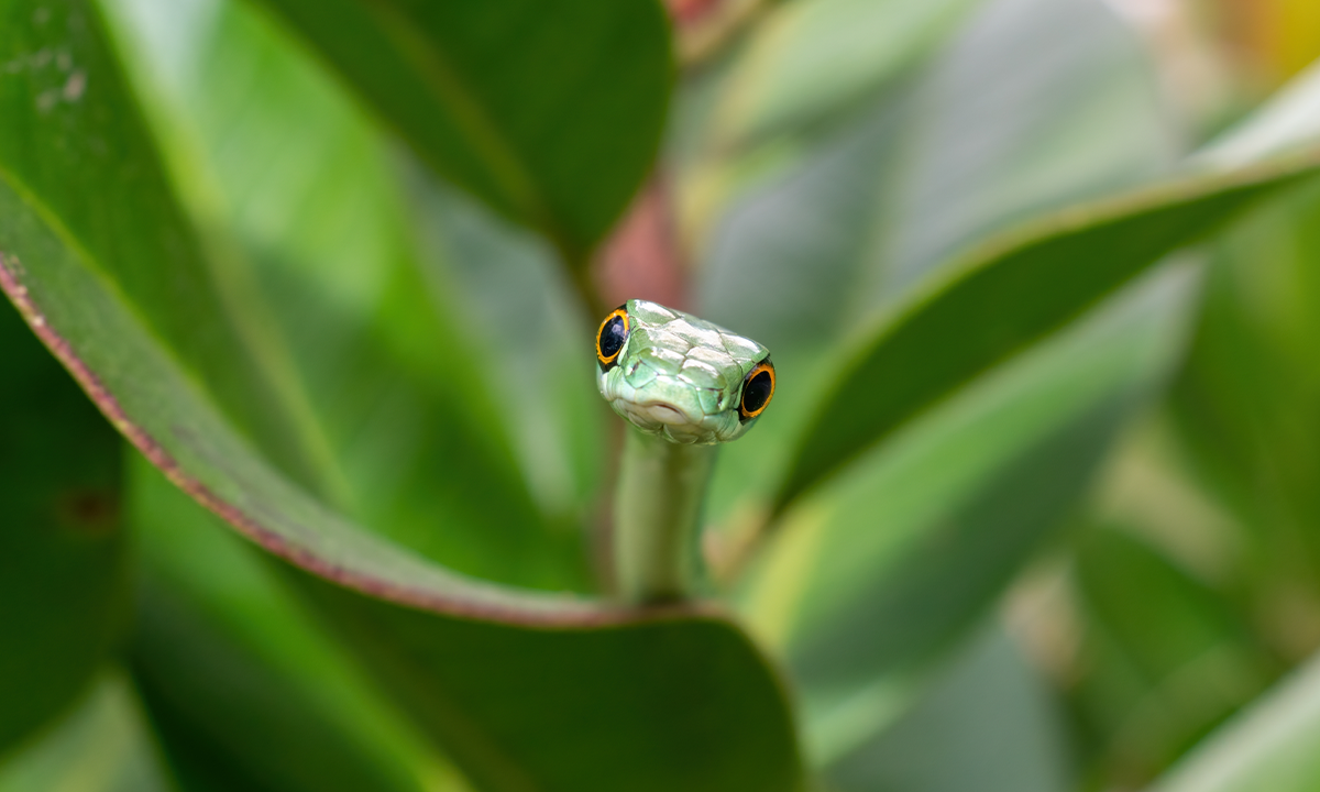 Article Sidebar Image