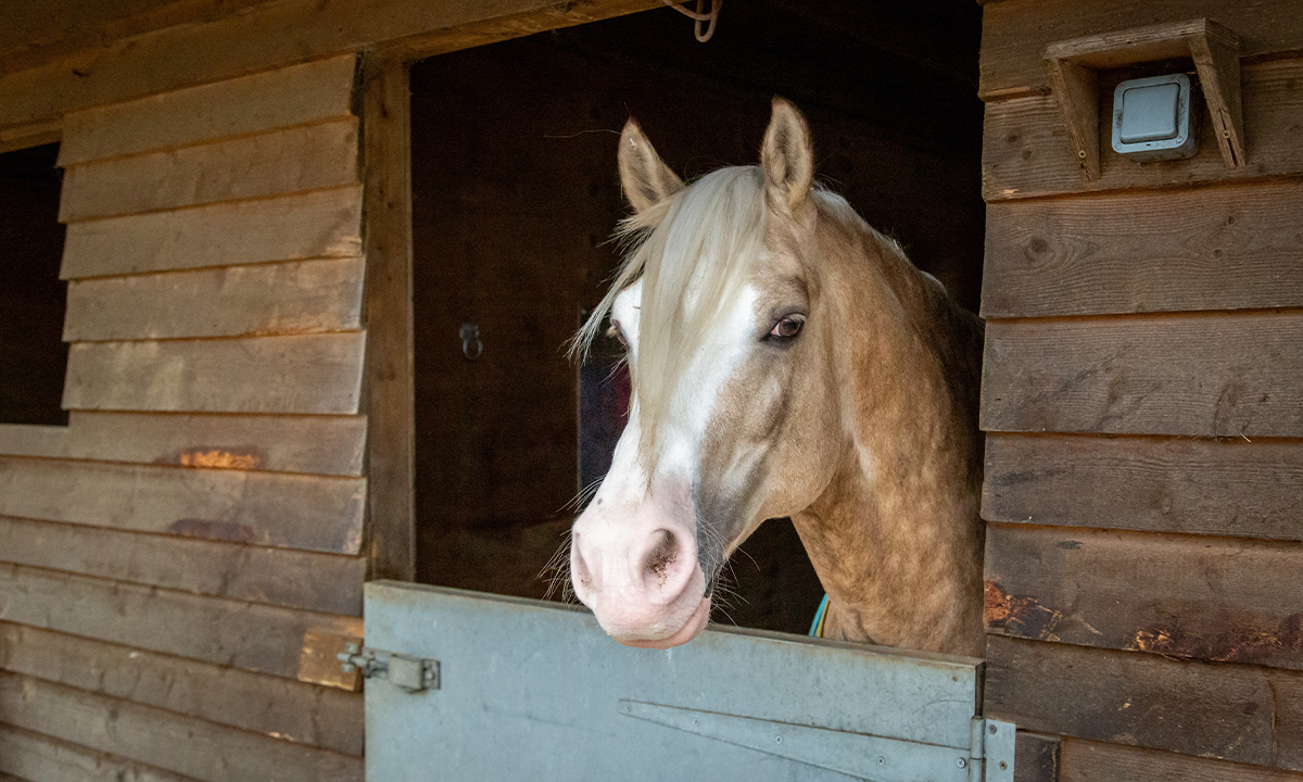 Article Sidebar Image