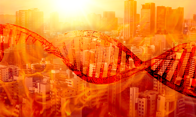 Article Recirculation Lead Image