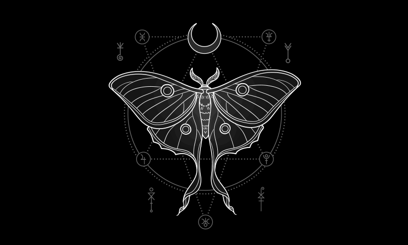 Article Recirculation Lead Image