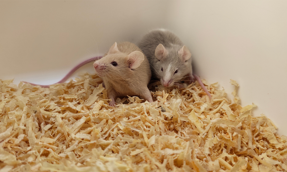 Article Recirculation Lead Image