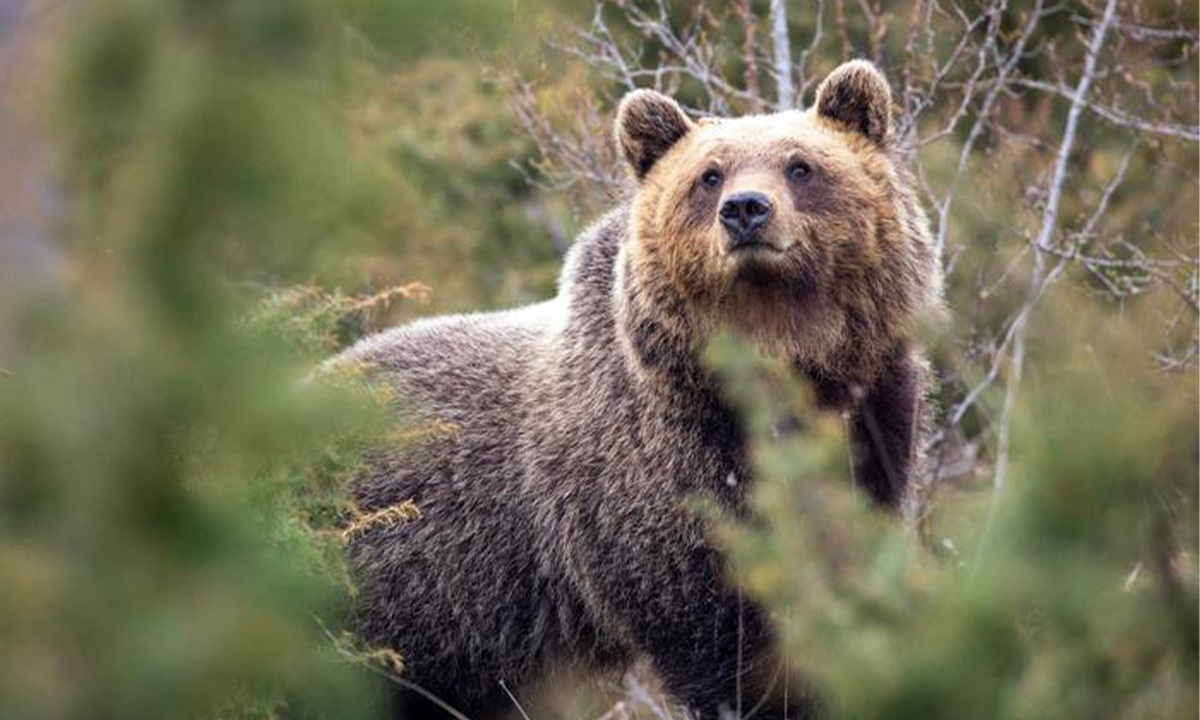 Article Sidebar Image