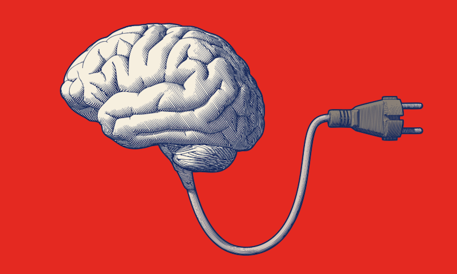 We've Got News for You About Supercharging Your Brain - Nautilus