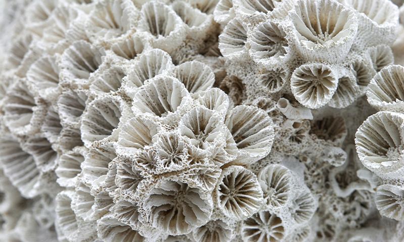 Article Recirculation Lead Image