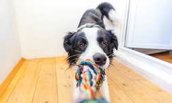 Article Sidebar Image