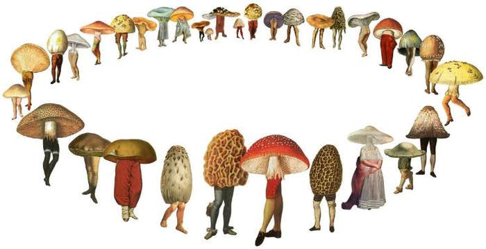 Article Recirculation Lead Image