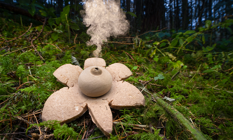 Article Recirculation Lead Image