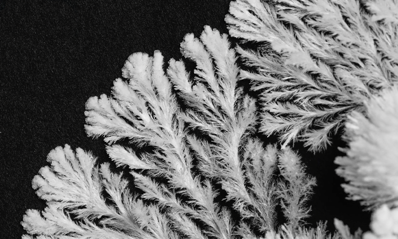 Article Recirculation Lead Image