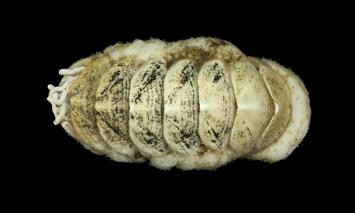 Article Sidebar Image