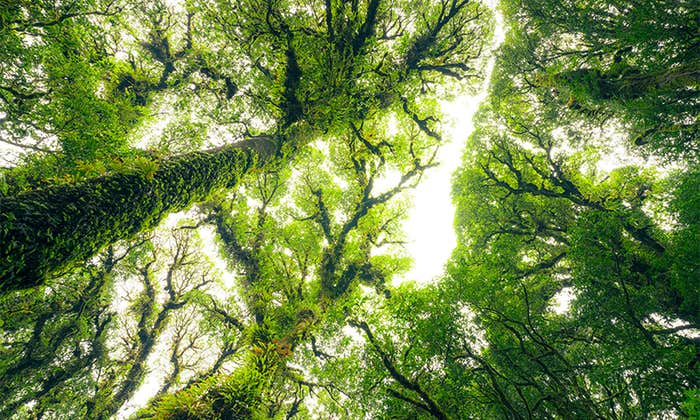 Article Recirculation Lead Image