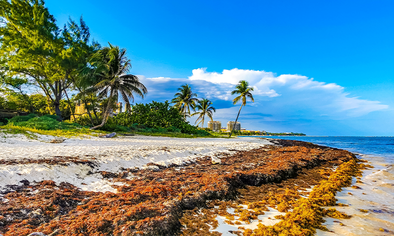 Article Recirculation Lead Image