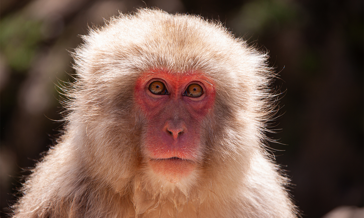 Article Sidebar Image