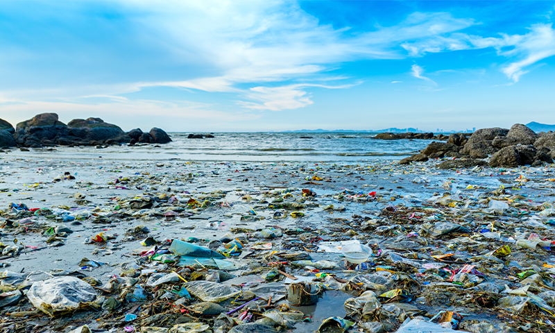 Article Recirculation Lead Image