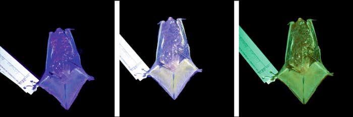 Article Recirculation Lead Image