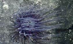 Article Sidebar Image