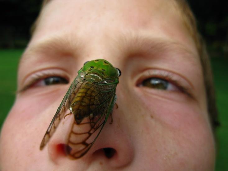 Article Recirculation Lead Image