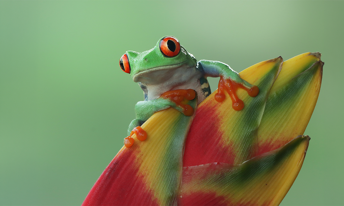 Article Sidebar Image