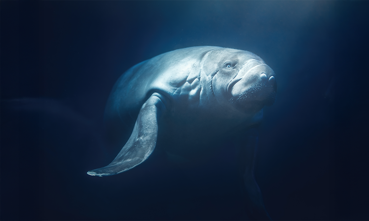 Article Sidebar Image