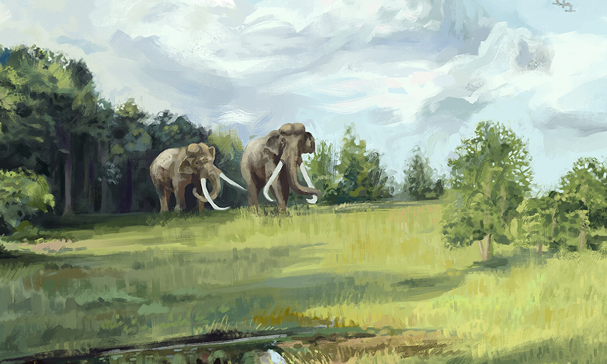 A painting of two straight-tusked elephants during the Last Interglacial in a temperate forest landscape.
