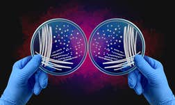 Article Sidebar Image