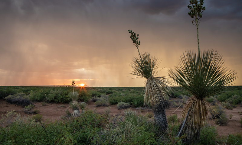 Article Recirculation Lead Image