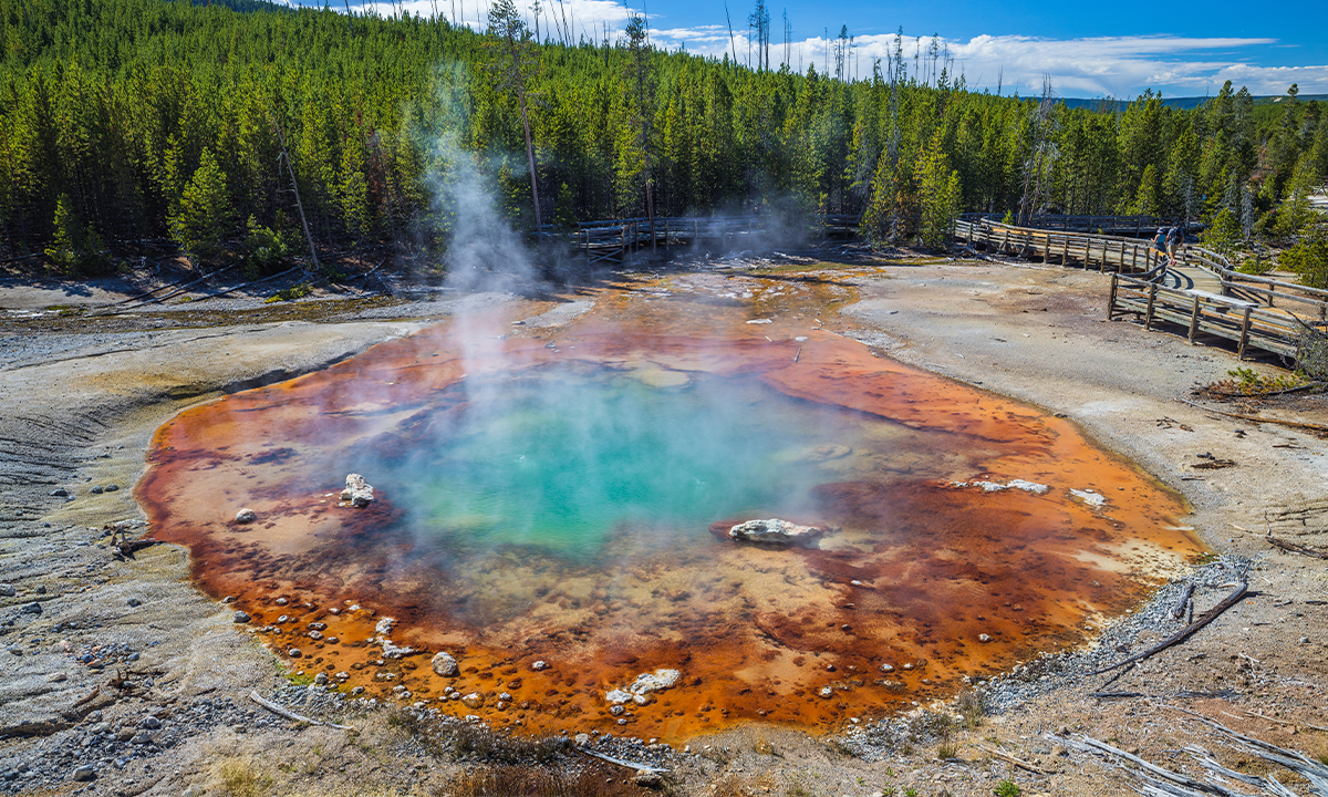 Article Sidebar Image