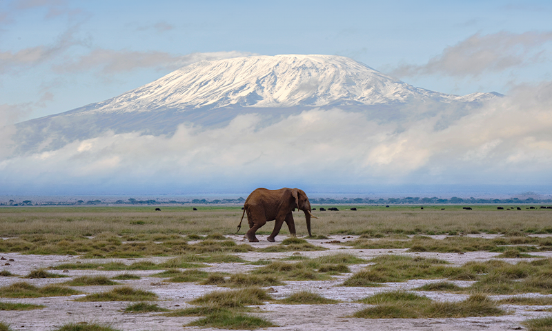 Article Recirculation Lead Image