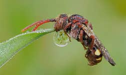 Article Sidebar Image