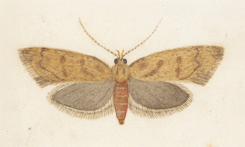 Article Recirculation Lead Image