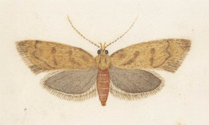 Article Recirculation Lead Image