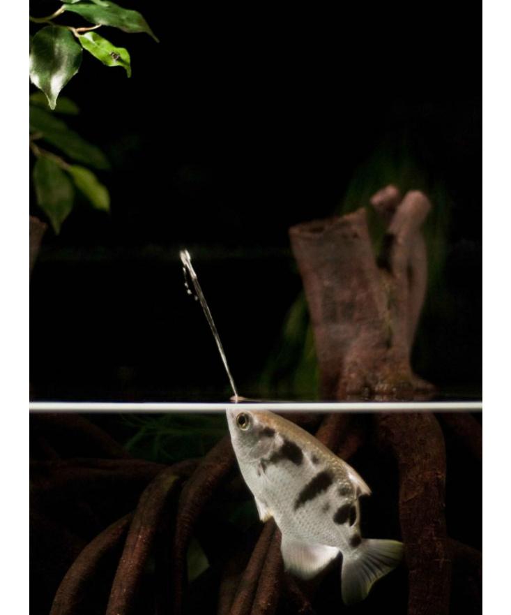 Article Recirculation Lead Image