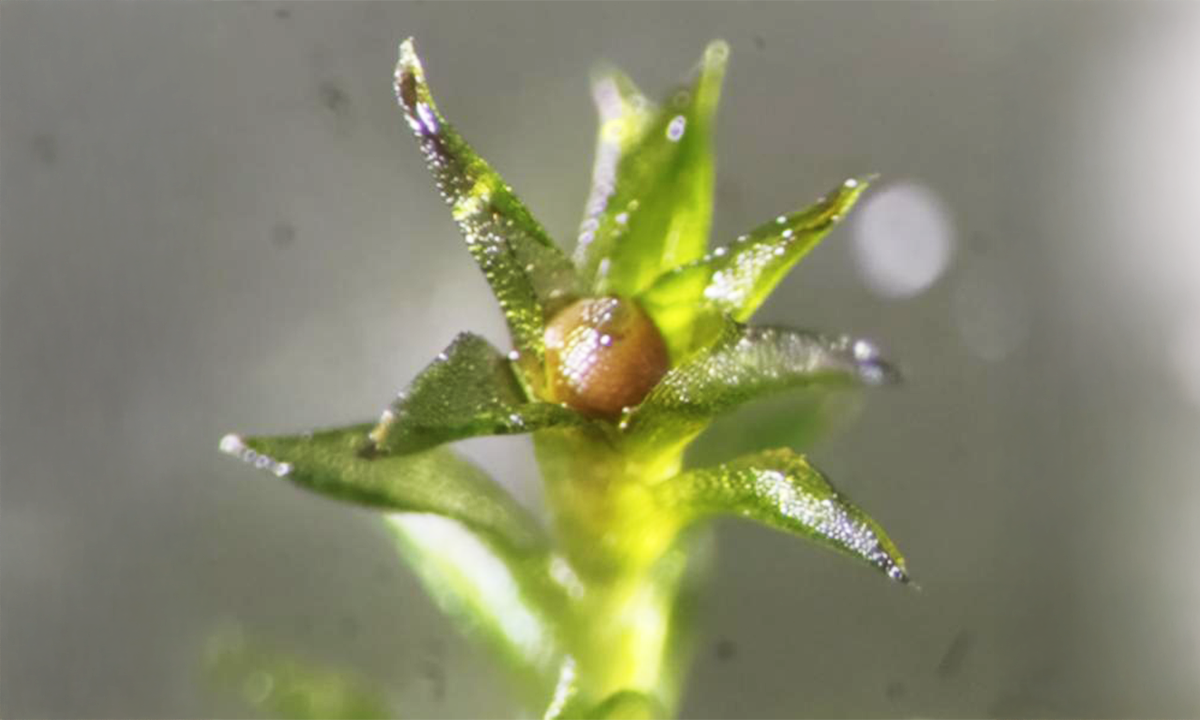 Article Recirculation Lead Image