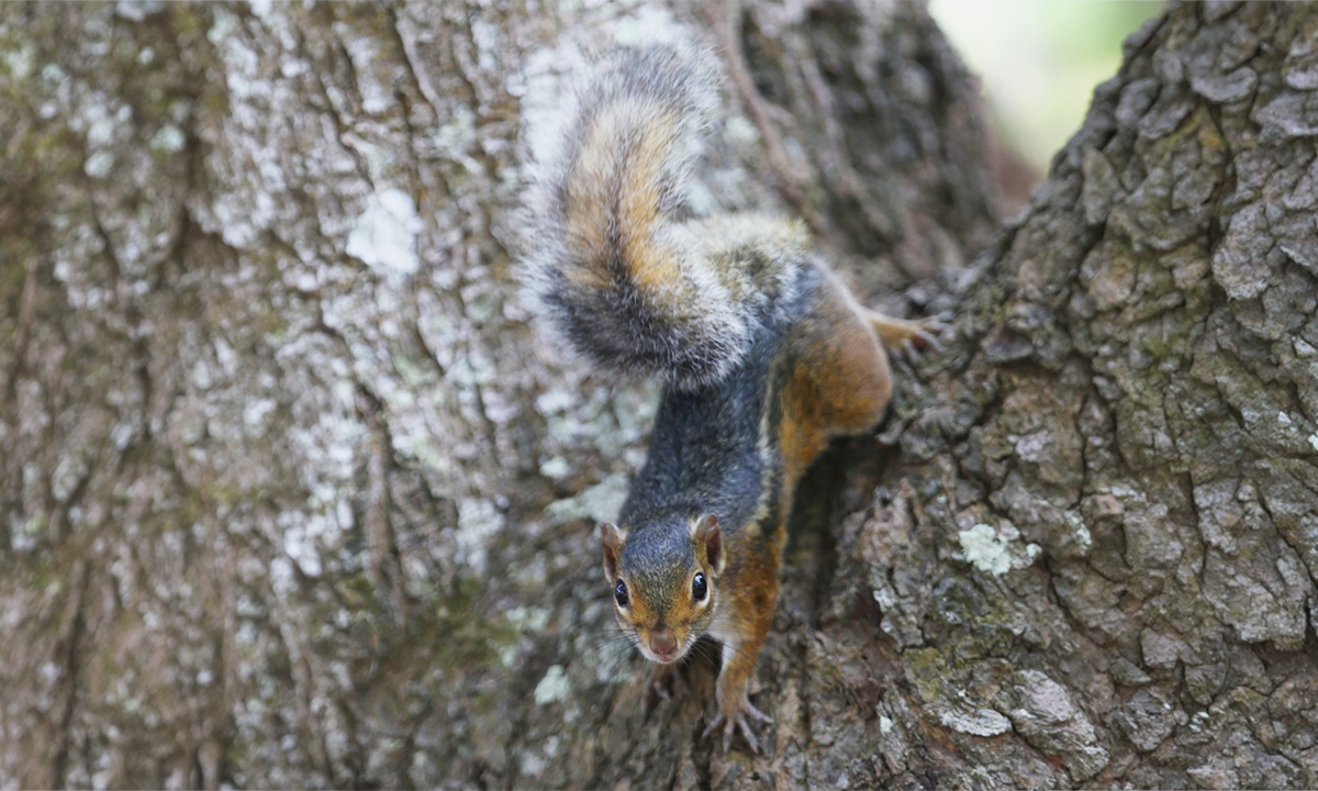 Article Sidebar Image