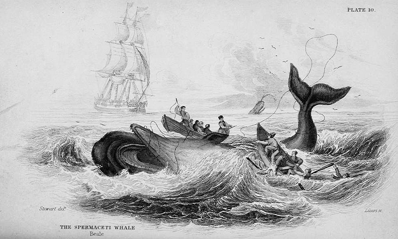 What Should We Do With an Old Sea Shanty? 