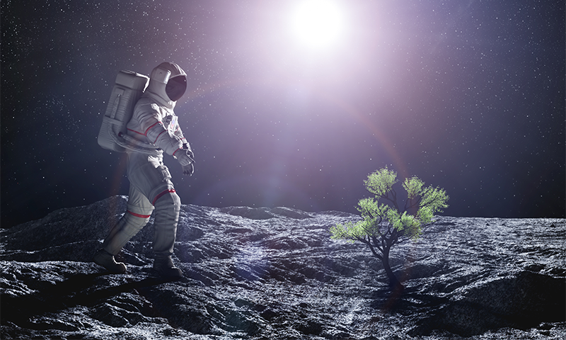 NASA 将在月球上种植植物