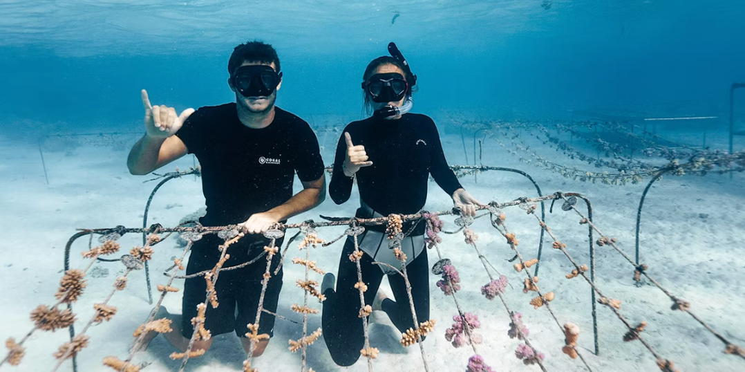 Article Recirculation Lead Image