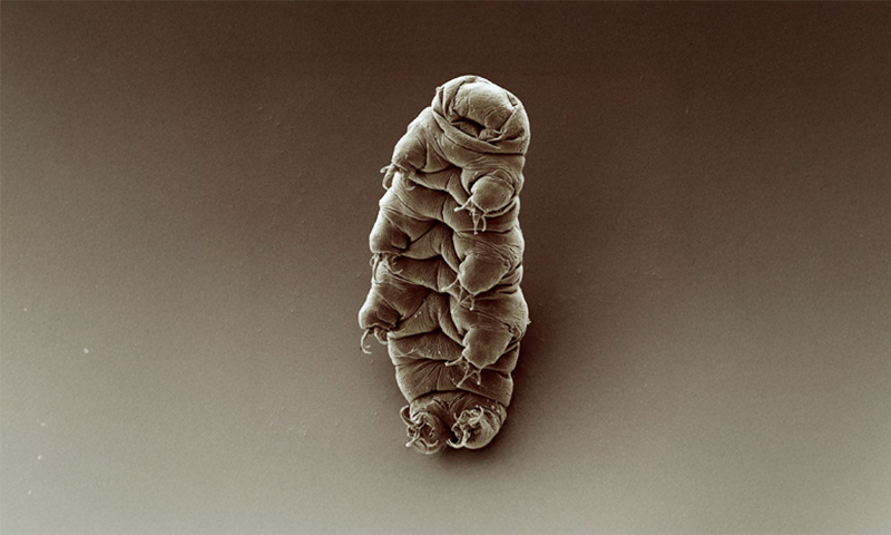 Article Recirculation Lead Image