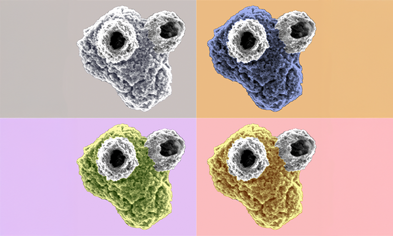 Article Recirculation Lead Image