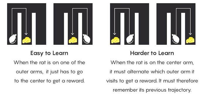 Article Recirculation Lead Image