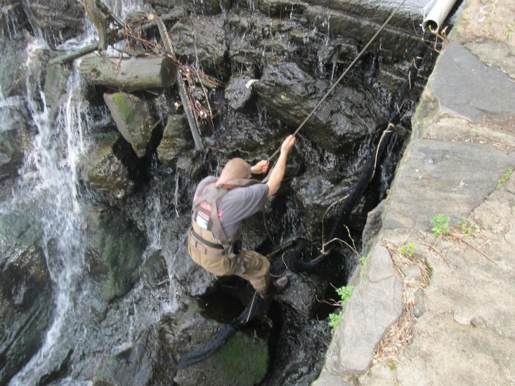 Article Recirculation Lead Image