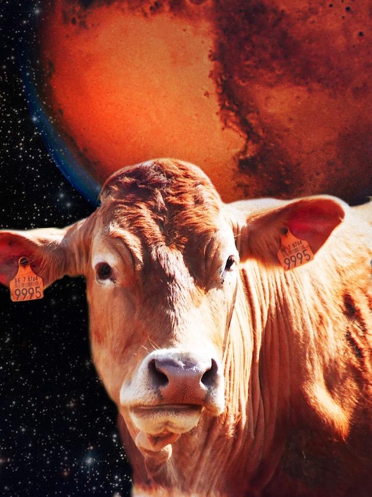 Article Recirculation Lead Image