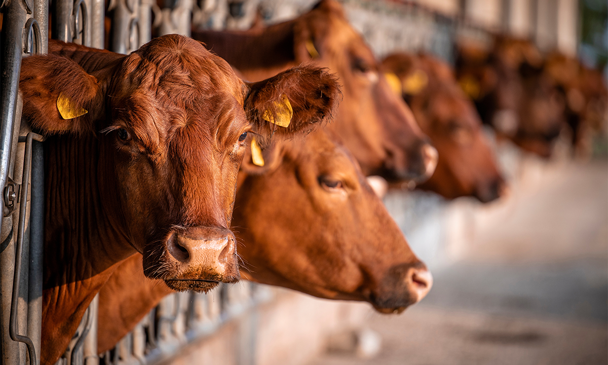 Article Recirculation Lead Image