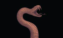 Article Sidebar Image