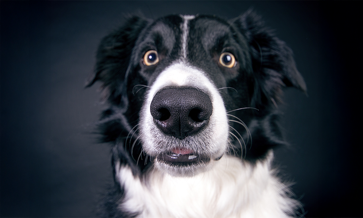 Article Sidebar Image