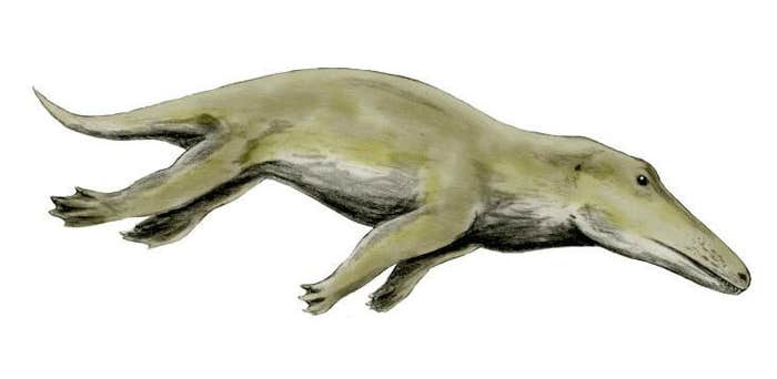 Article Recirculation Lead Image