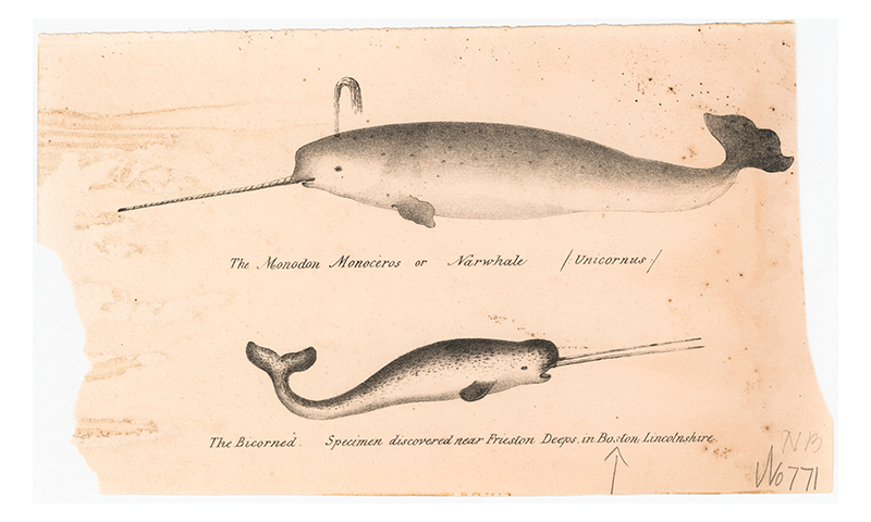 Article Recirculation Lead Image