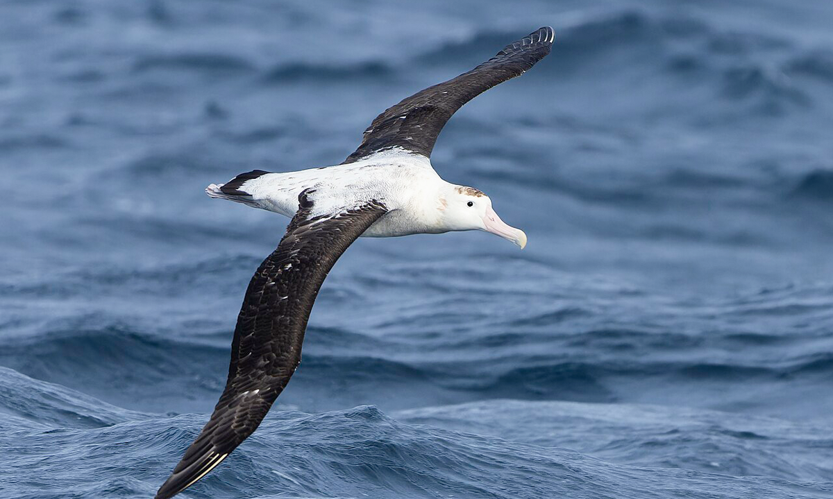 Article Sidebar Image